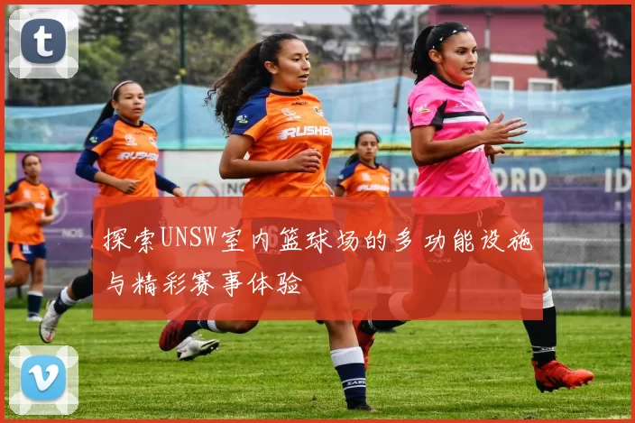 探索UNSW室内篮球场的多功能设施与精彩赛事体验