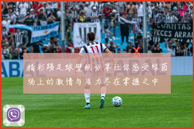 精彩踢足球壁纸分享让你感受绿茵场上的激情与活力尽在掌握之中