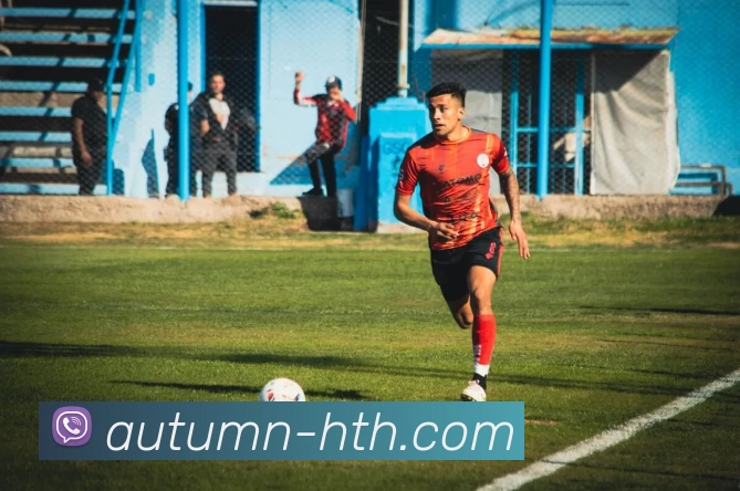 华体会平台生态图